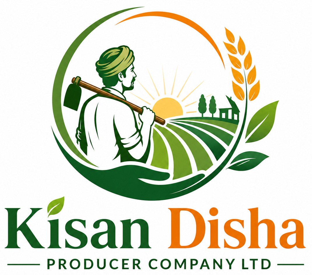 KD Logo