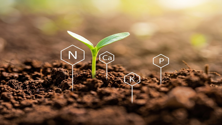 Soil Testing & Agricultural Guidance