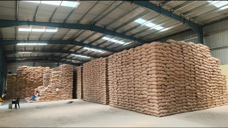 Warehousing & Storage Support
